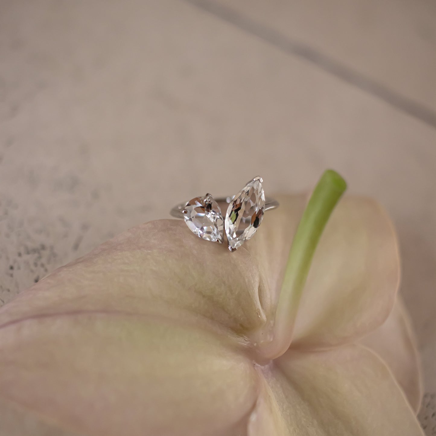 【1泊2日〜】CUDDLE RING